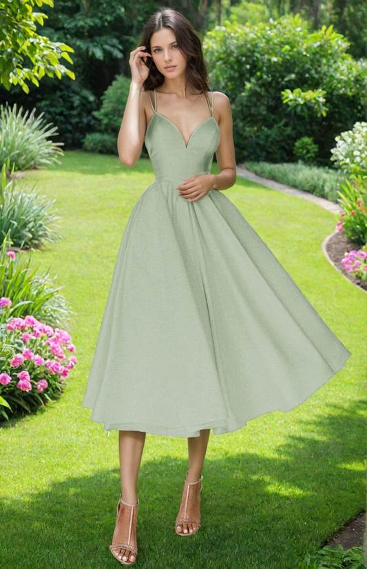 Sleeveless Midi Dress with Circle Skirt