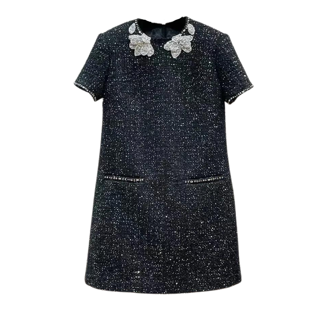 Mini Boxy Dress with Sequins